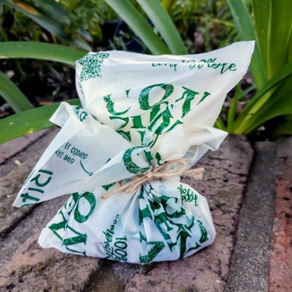 Producto - Snack orgánico 60 gr