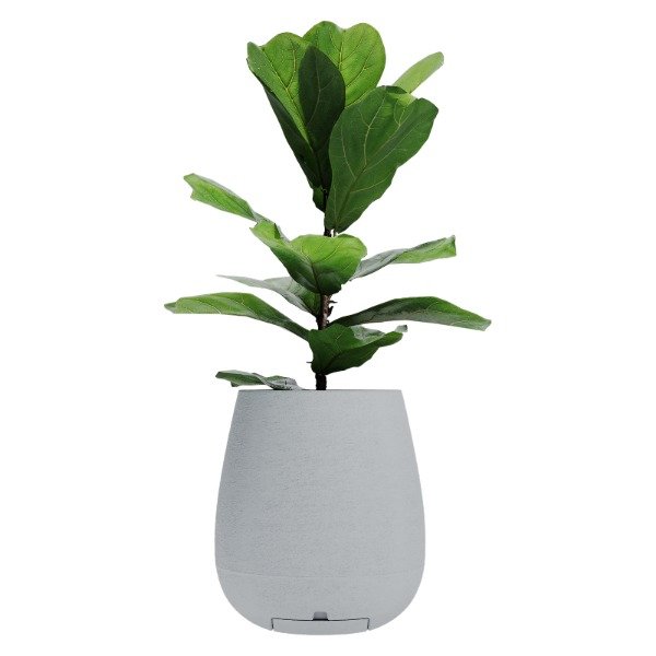 Producto - Maceta plastica Sara 40 cm 31lts con plato gris Perla