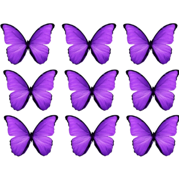 Producto - Mariposas comestible VIOLETA pack x12Un