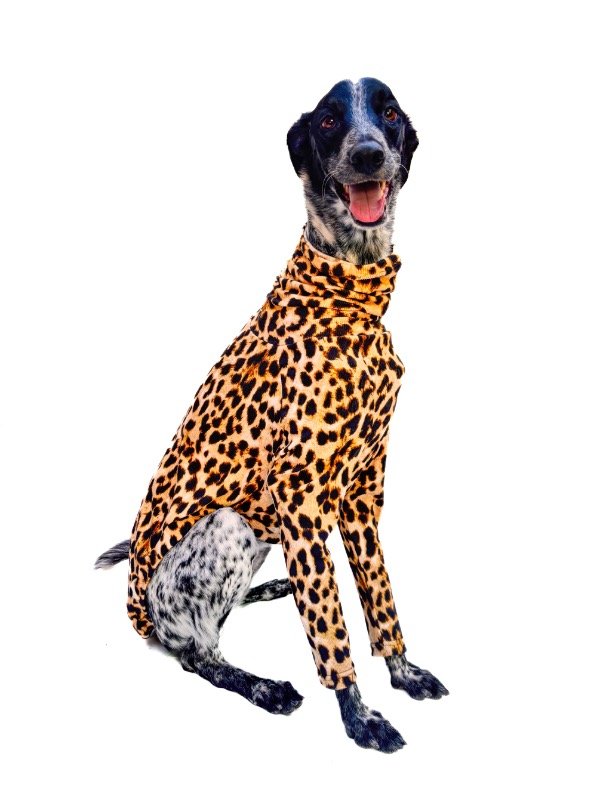 Producto - Polera Moria