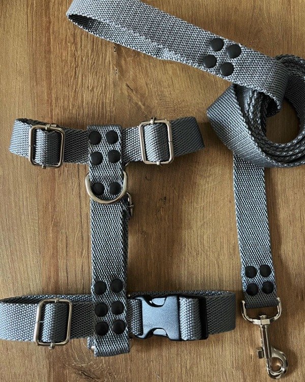 Producto - Pretal y correa GREY