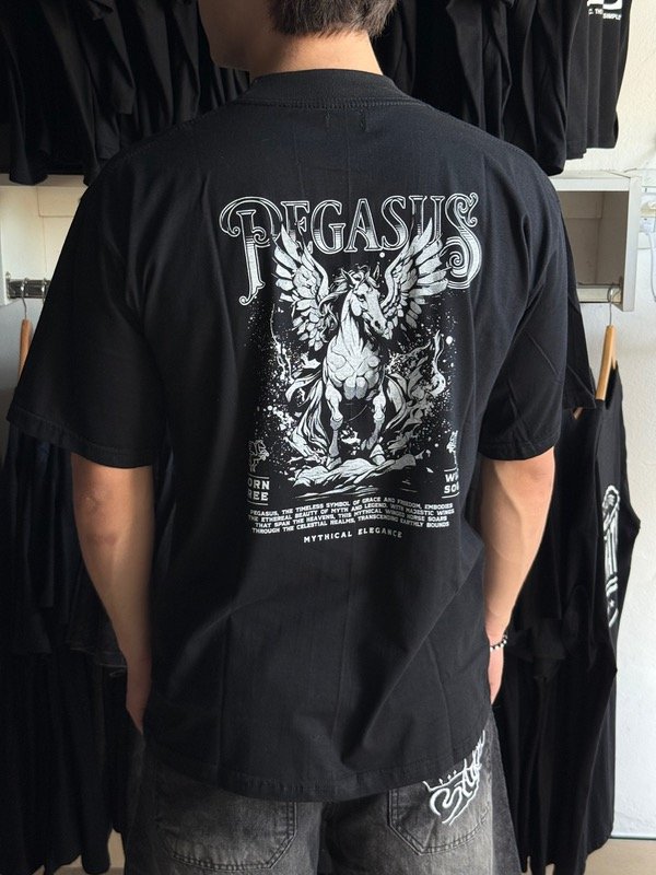 Producto - Remera Oversize Pegasus