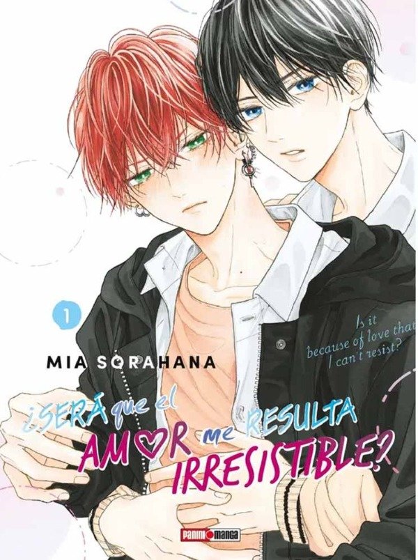 Producto - SERA QUE EL AMOR ME RESULTA IRRESISTIBLE - 01