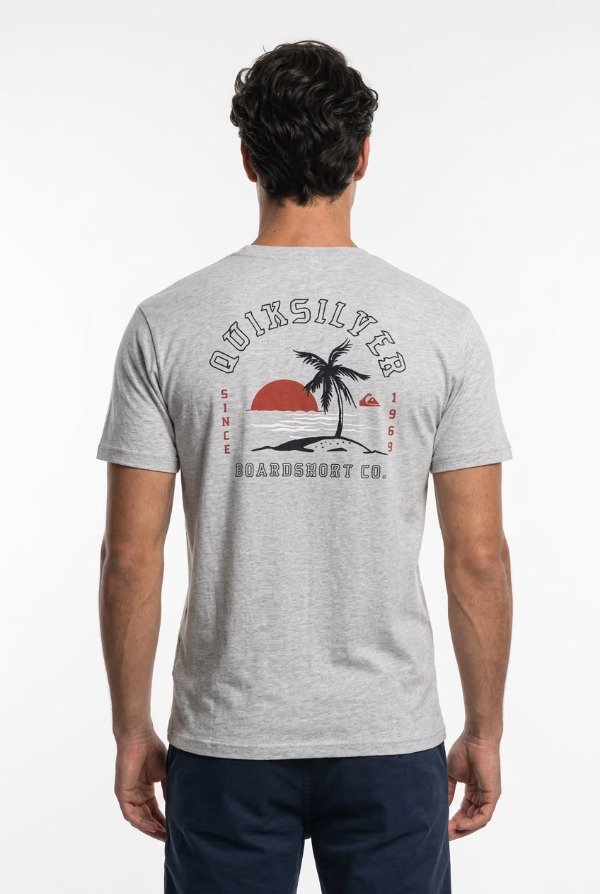 Producto - REMERA M/CORTA QUIKSILVER ALONE AT LAST GRIS - 1