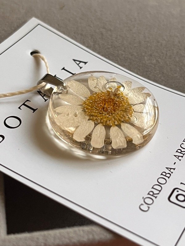 Producto - Margarita 10 - 1