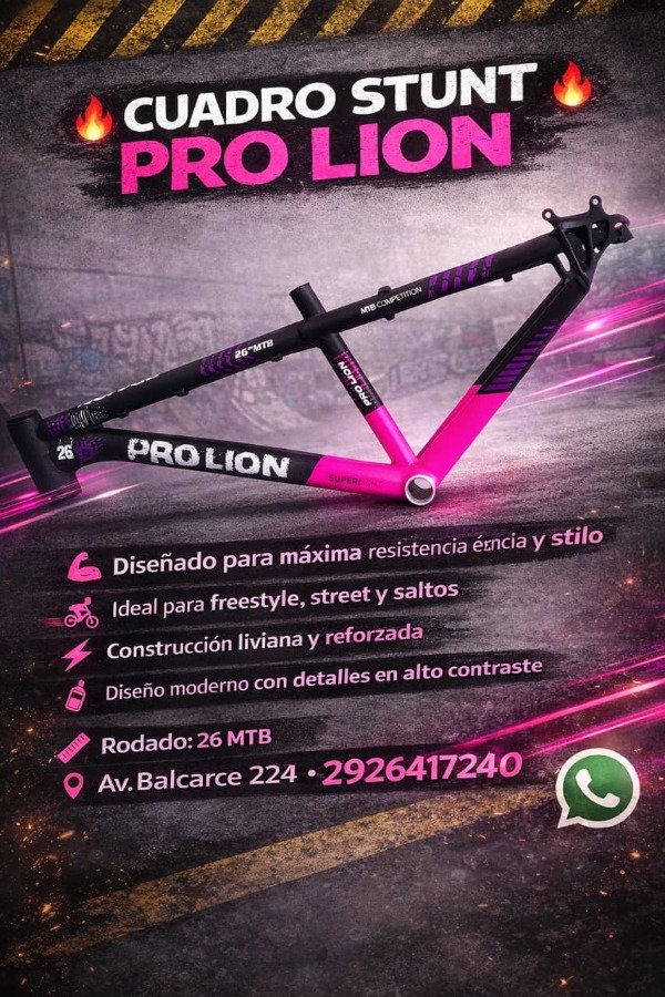 Producto - Cuadros Stunt Pro lion