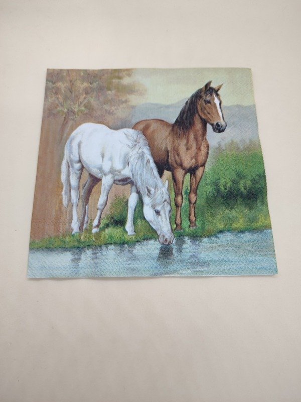 Producto - Horses