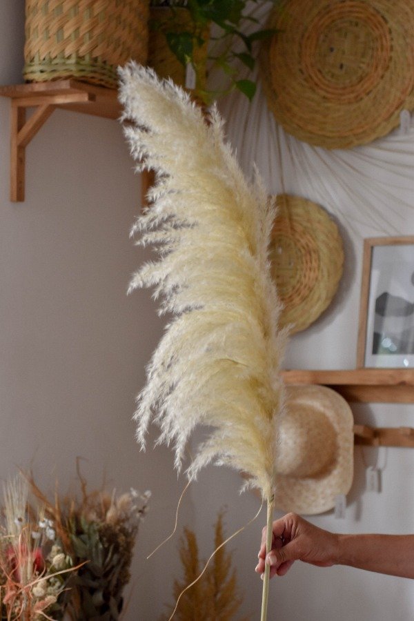 VARA PAMPA GRASS INVERSA