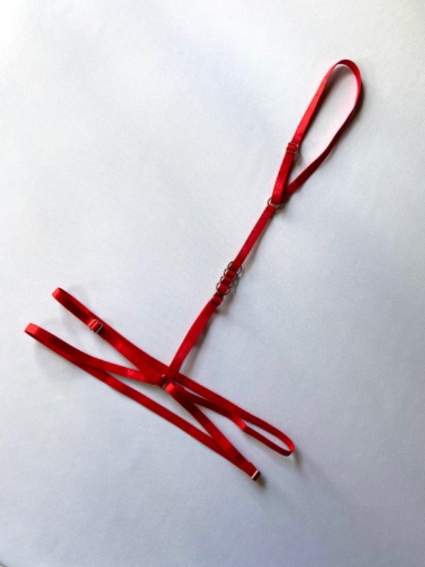 Producto - Arnés con argollitas - 3