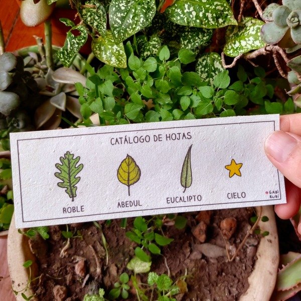 Producto - SEÑALADOR M: "Catálogo de hojas - Cielo"