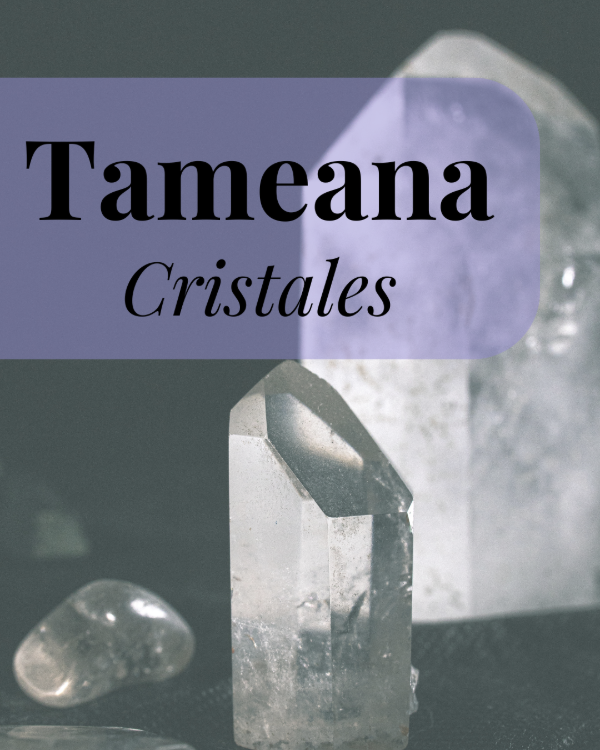 Producto - Sesión presencial de Tameana
