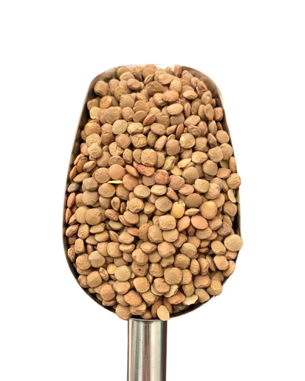 Producto - LENTEJAS 500G