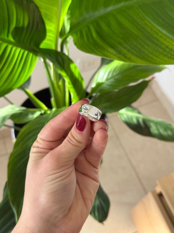 Producto - Anillo Ara - 1