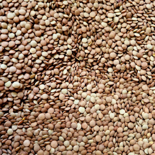 Producto - Lentejas - por peso [Chacra Monteflore]