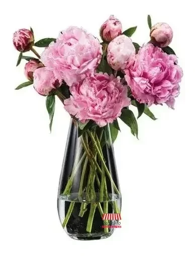 Producto - Florero Bohemia Gota Cristal bohemia - 2