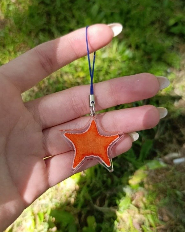 Producto - Phone Charm Estrella Culona