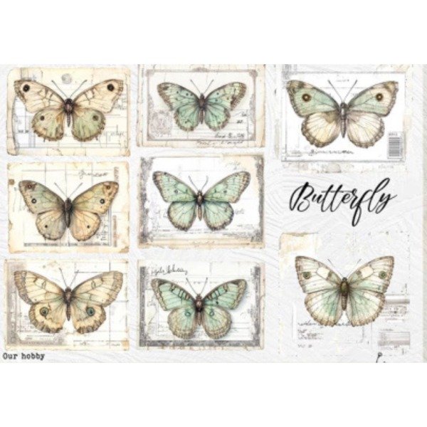 Producto - Mariposa 248