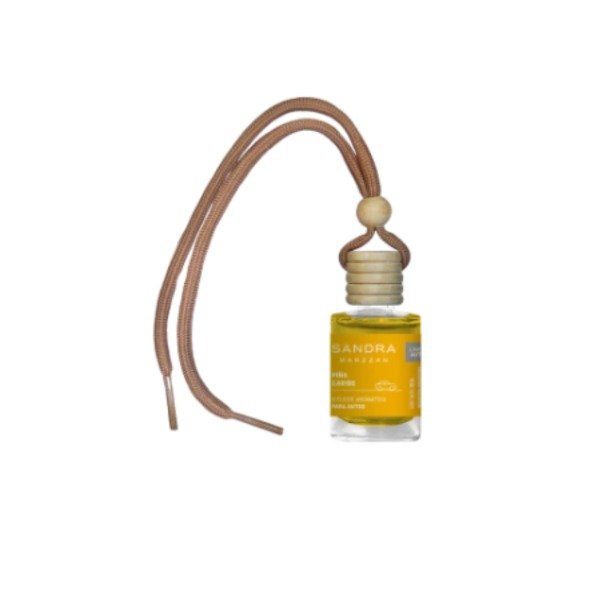 Producto - Difusor para Autos Piña Caribe