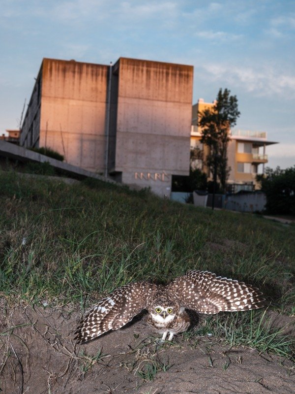 Producto - Impresión Fine Art - Enmarcado - Medidas variables - 13