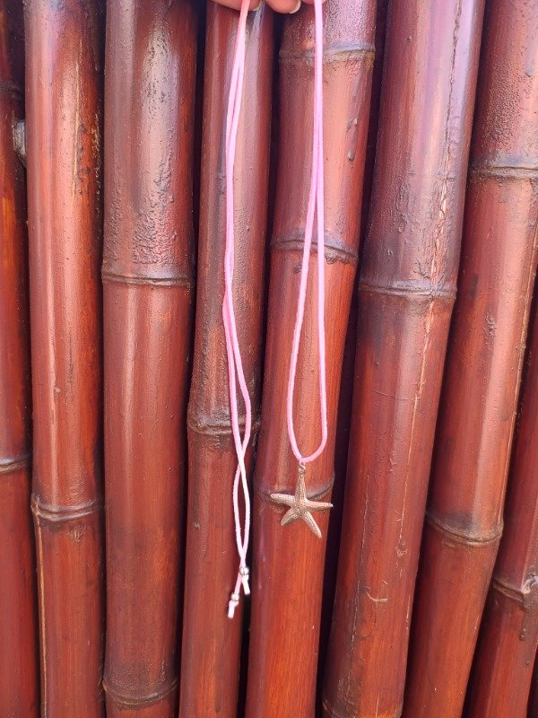 Producto - Chocker Dije Estrella