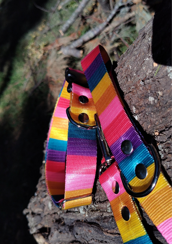 Producto - Collar poliester