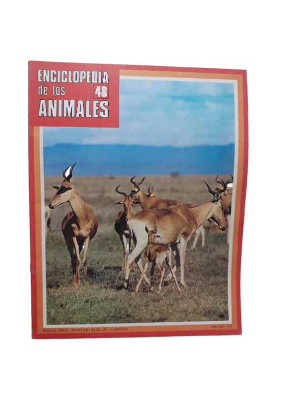 Producto - Enciclopedia De Los Animales Fasciculo Numero 48