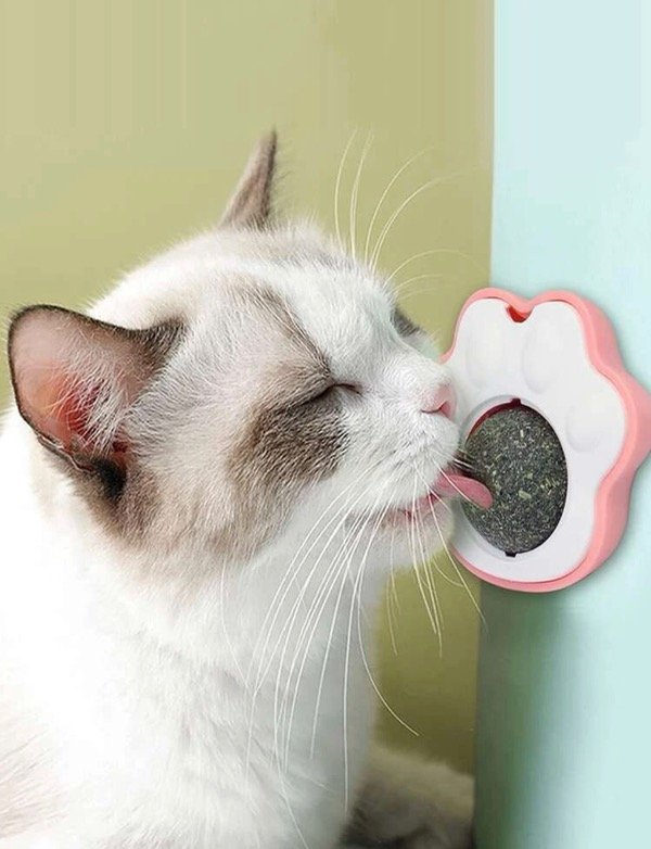 Producto - Catnip
