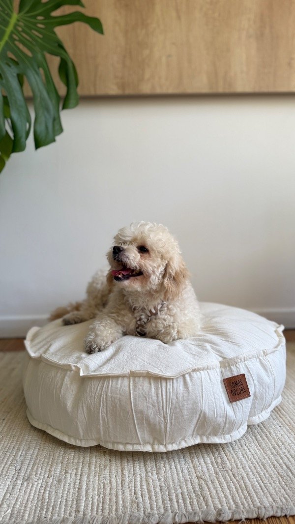 Producto - Cama Macaron Tusor Coco