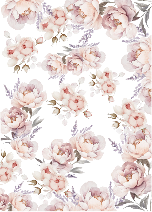 Producto - CATCUTE  3B
