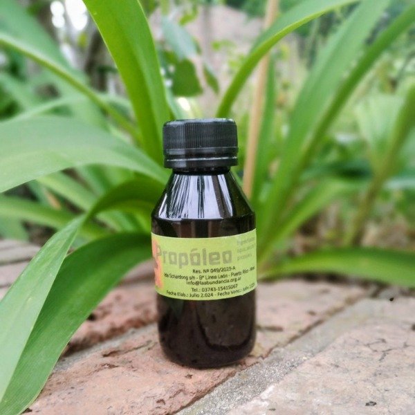 Producto - Tintura Madre de Propóleo 100 ml Cooperativa La Abundancia