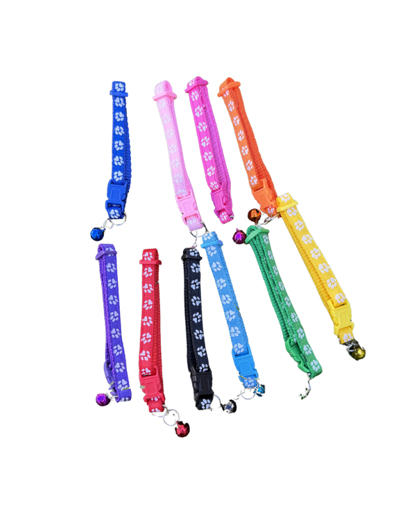 Producto - Collar Gato cascabel