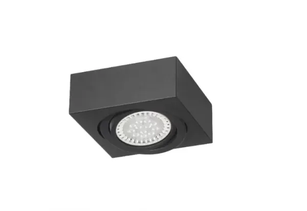 Producto - Plafón Cardánico 1 Luz
