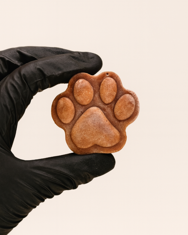 Producto - POOL DE VISCERAS VITAMINICO Y PROTEICO