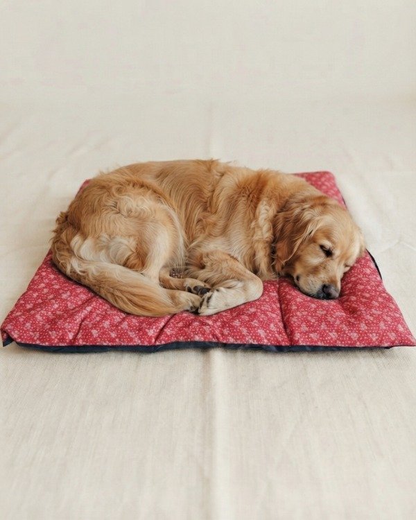 Producto - Colchoneta Cama Para Mascotas Perros gatos grandes 85x65 cm - 3