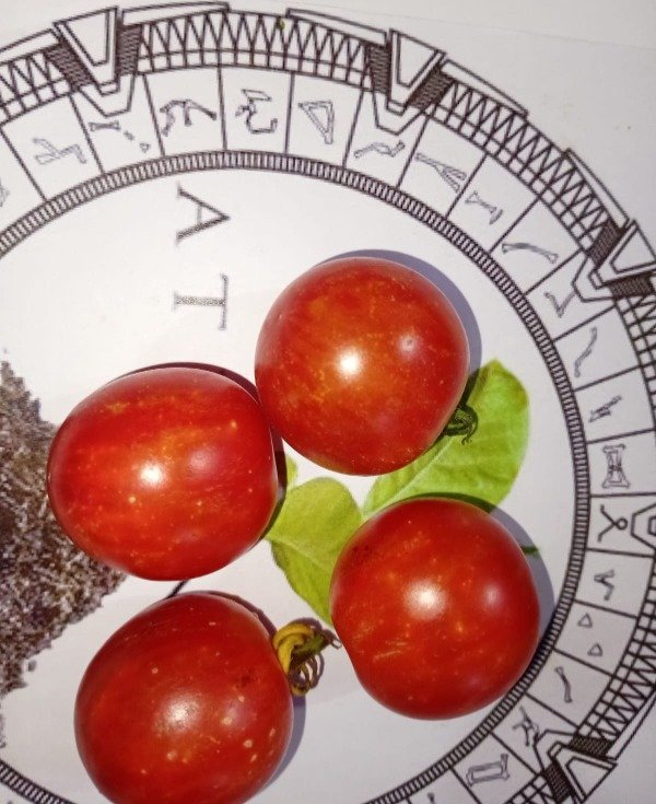 Miniatura de producto - 4