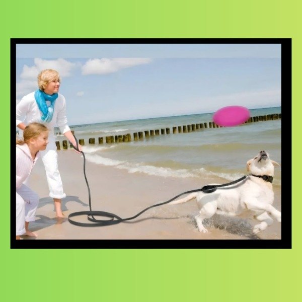 Producto - Correas x metro