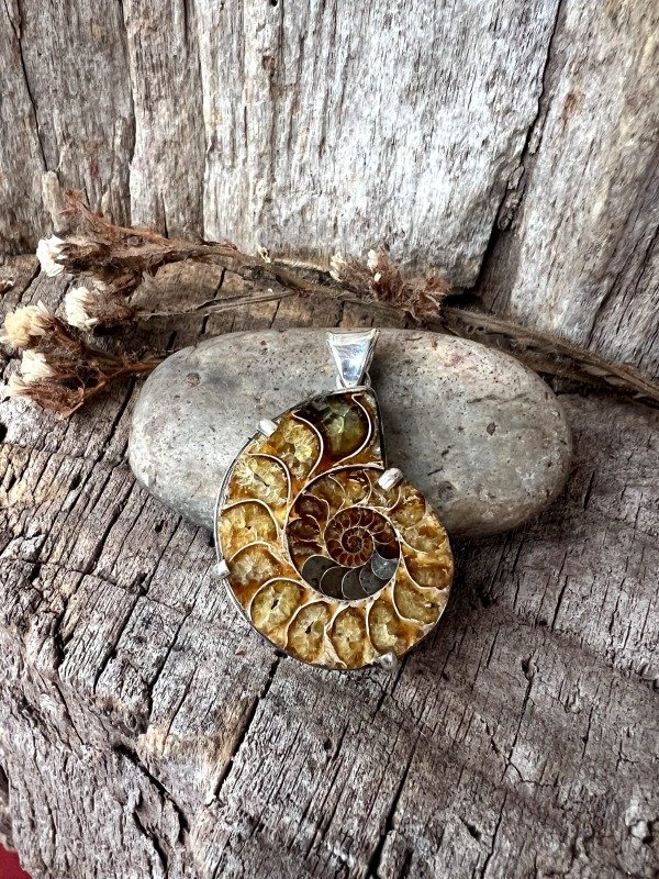 Producto - DIJE AMONITE