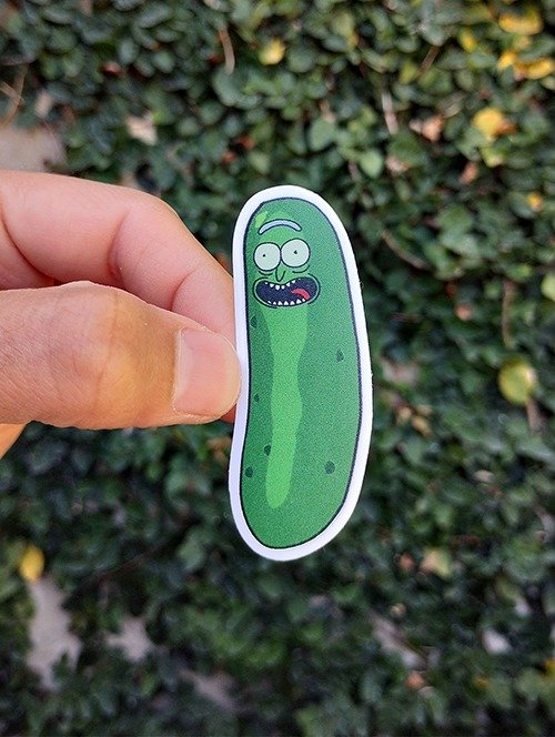Producto - Pickle Rick OPP