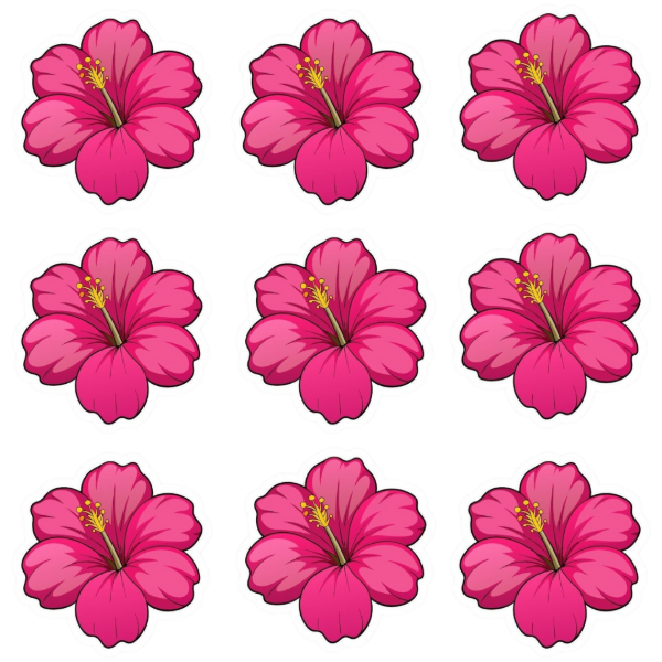 Producto - Flores comestibles rosa fuerte pack x12un