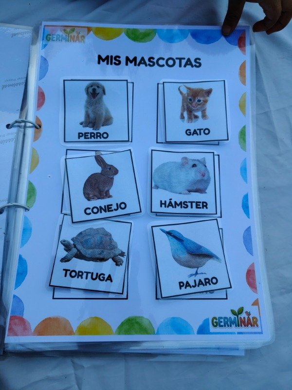 Miniatura de producto - 6