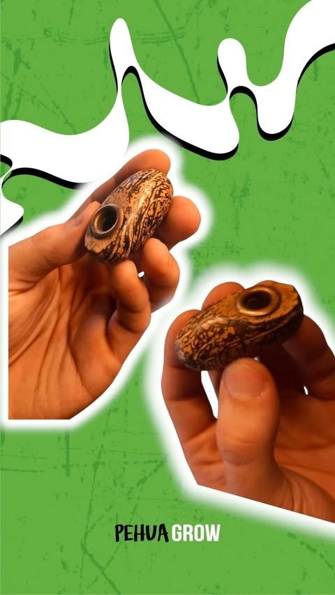 Producto - Pipa tipo asta de ciervo