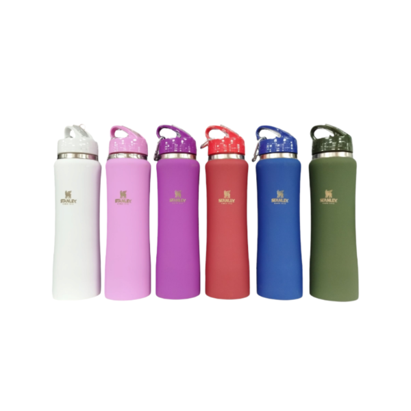 Producto - BOTELLA TERMICA ACERO INOX 750 ML