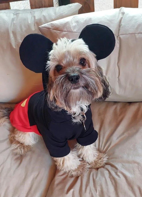 Producto - Remera mickey