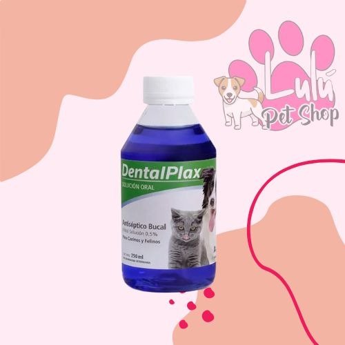 Producto - DENTAL PLAX 250CC