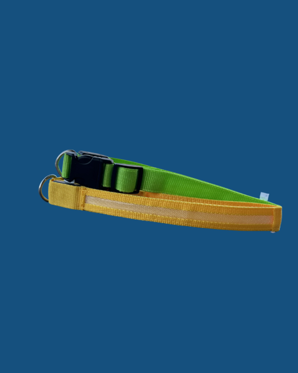 Producto - Collar LED L