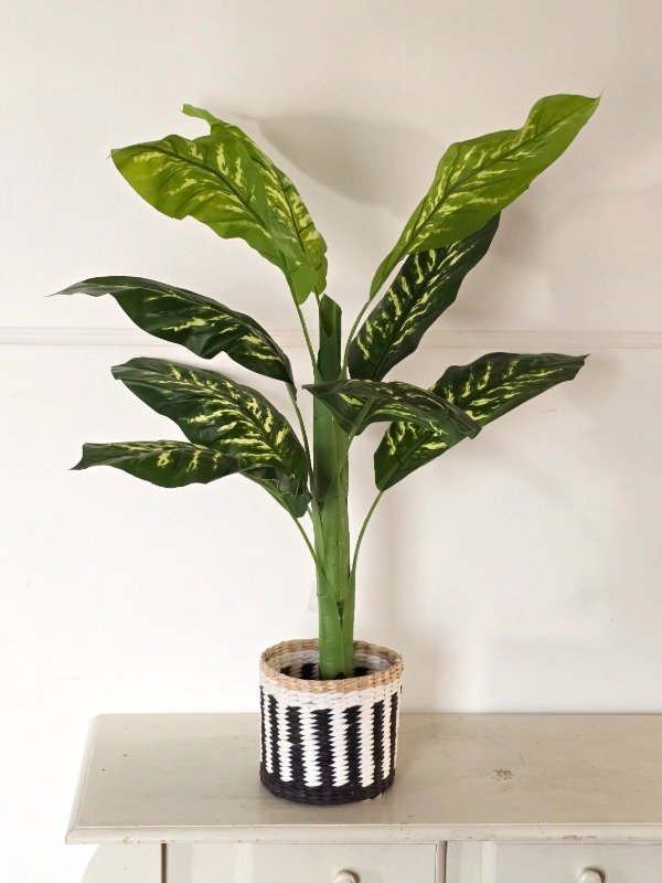 Producto - Planta deco 100cm - 0