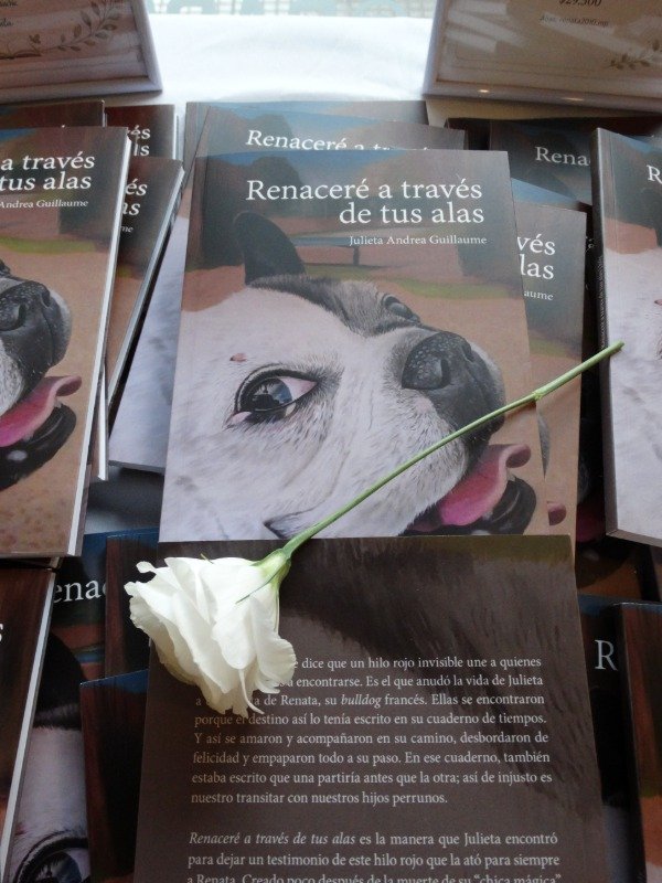 Producto - LIBRO "Renaceré a través de tus alas"