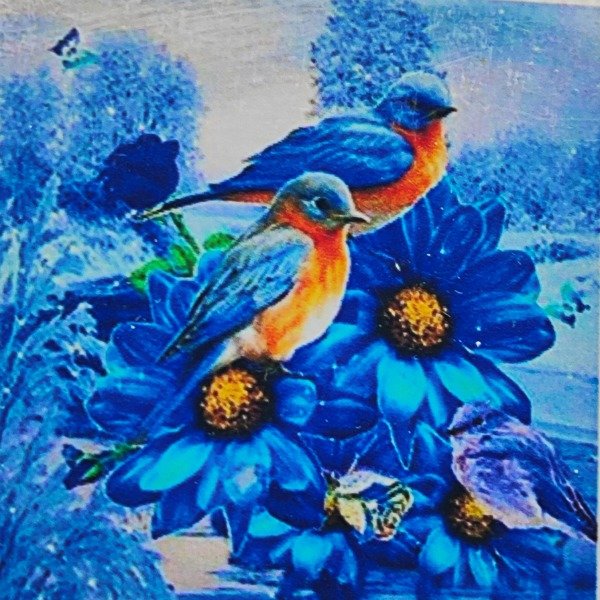Producto - DIAMOND PAINTING 30X30 HI STONE PAJARITOS AZULES Y FLORES