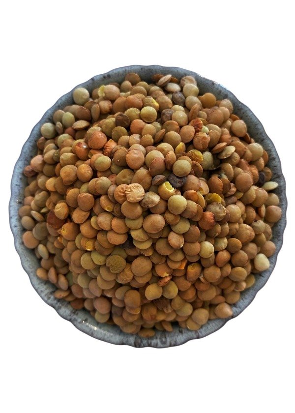 Producto - Lentejas nacionales