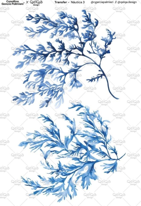 Producto - Transfers  NAUTICA 3